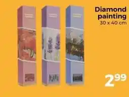 Trekpleister Diamond painting 30 x 40 cm aanbieding