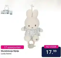 Van Asten BabySuperstore Muziekdoosje Nijntje aanbieding