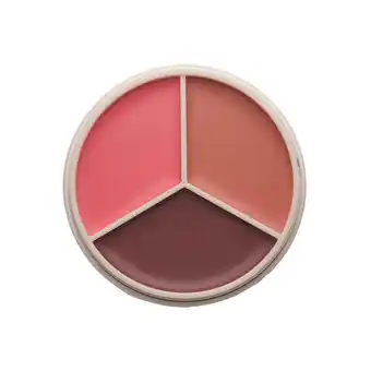 Douglas Anastasia Beverly Hills Magic Touch Blush Trio aanbieding