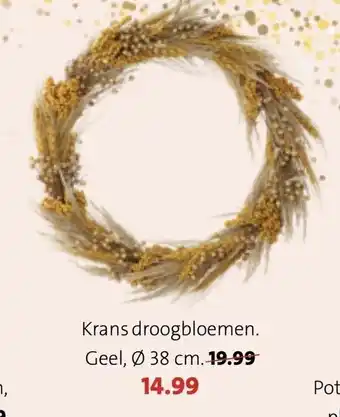 Intratuin Krans droogbloemen 38cm aanbieding