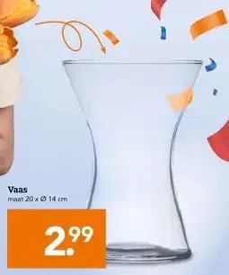 Blokker Vaas aanbieding