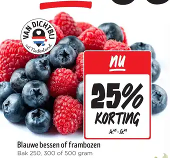 Jumbo Blauwe bessen of frambozen aanbieding