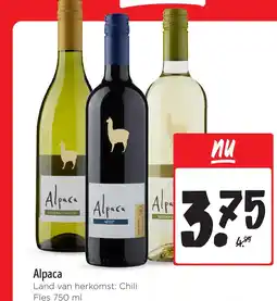 Jumbo Alpaca Land van herkomst: Chili aanbieding