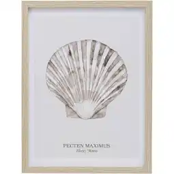 Leen Bakker Poster Schelp Pecten - MDF/glas - 40x30 cm - Leen Bakker aanbieding