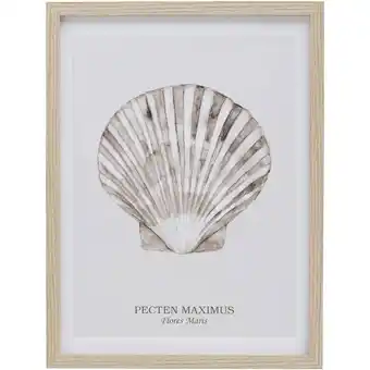 Leen Bakker Poster Schelp Pecten - MDF/glas - 40x30 cm - Leen Bakker aanbieding