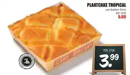 De Boerenschuur Plaatcake tropical aanbieding
