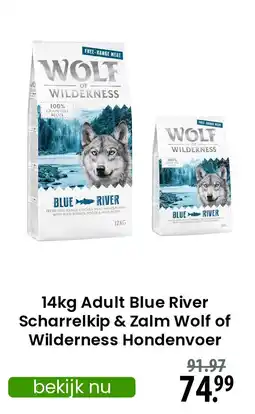 Zooplus Adult Blue River Scharrelkip & Zalm Wolf of Wilderness Hondenvoer aanbieding