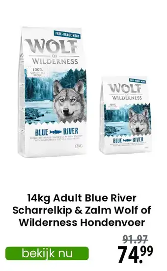 Zooplus Adult Blue River Scharrelkip & Zalm Wolf of Wilderness Hondenvoer aanbieding