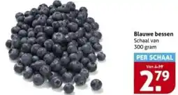 Hoogvliet Blauwe bessen aanbieding