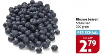 Hoogvliet Blauwe bessen aanbieding