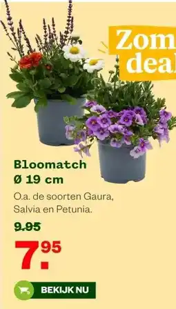 Welkoop Bloomatch Ø 19 cm aanbieding