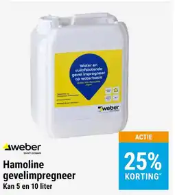 Jongeneel Hamoline gevelimpregneer aanbieding