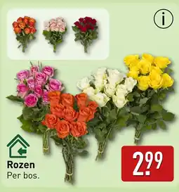 ALDI Rozen aanbieding