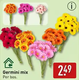 ALDI Germini mix aanbieding