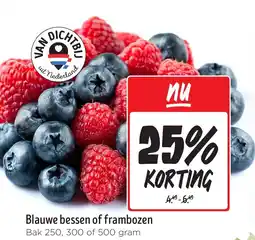 Jumbo Blauwe bessen of frambozen aanbieding