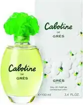 Bol.com Grès - Damesparfum - Cabotine - Eau de parfum 100 ml aanbieding