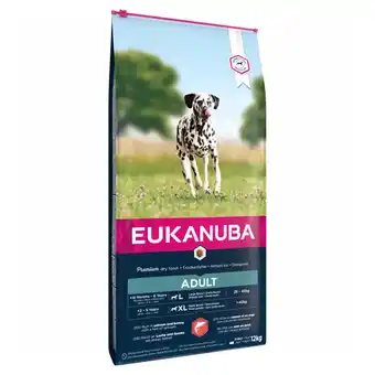 Zooplus Dubbelpak: 2x12kg Eukanuba Adult Large Breed Zalm droogvoer voor honden aanbieding