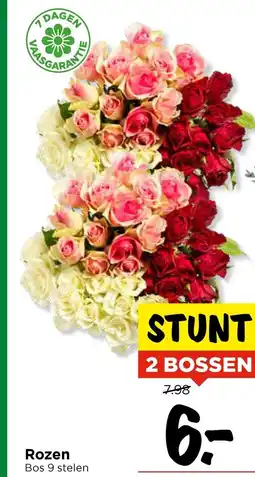Vomar Voordeelmarkt Rozen aanbieding