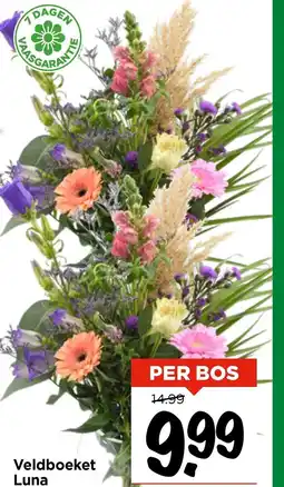 Vomar Voordeelmarkt Veldboeket Luna aanbieding