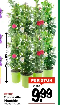 Vomar Voordeelmarkt Mandeville Piramide aanbieding