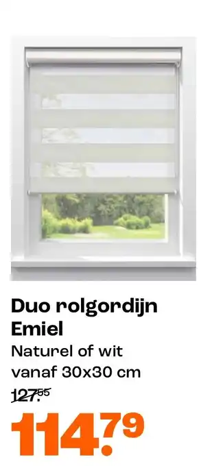 Kwantum Duo rolgordijn Emiel aanbieding