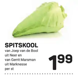 Ekoplaza Spitskool aanbieding