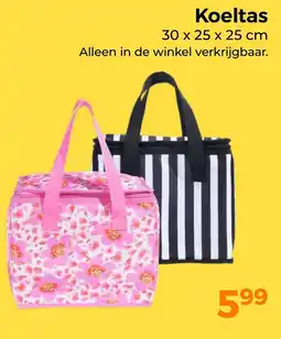Trekpleister Koeltas aanbieding