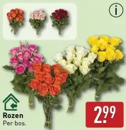 ALDI Rozen aanbieding