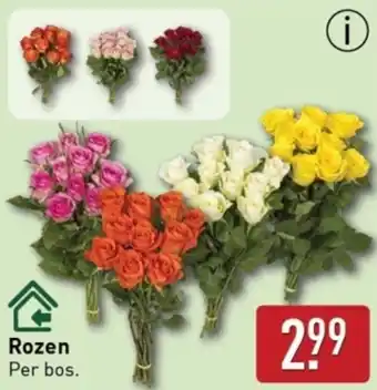 ALDI Rozen aanbieding