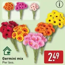 ALDI Germini mix aanbieding