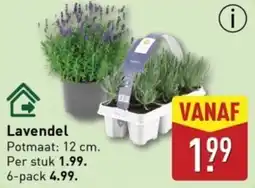 ALDI Lavendel aanbieding