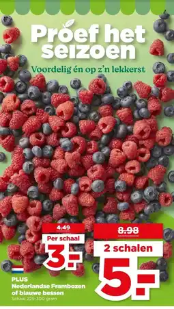PLUS PLUS Nederlandse Frambozen of blauwe bessen aanbieding