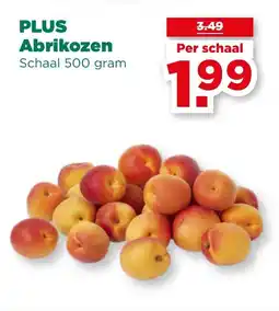 PLUS PLUS Abrikozen aanbieding