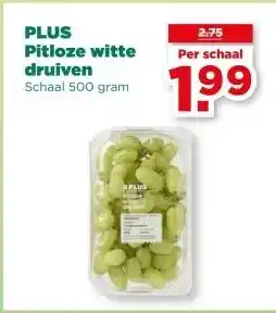 PLUS PLUS Pitloze witte druiven aanbieding