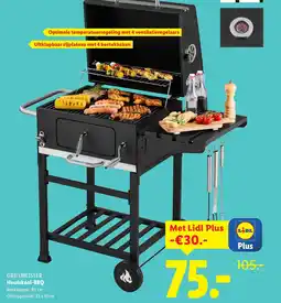 Lidl GRILLMEISTER HoutskoolBBQ aanbieding