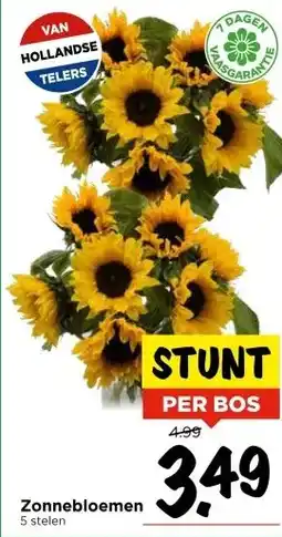 Vomar Voordeelmarkt Zonnebloemen aanbieding
