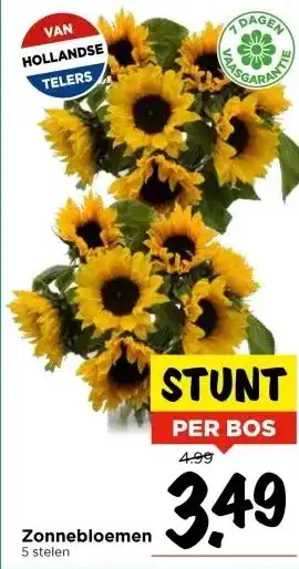 Vomar Voordeelmarkt Zonnebloemen aanbieding