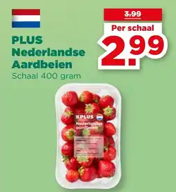 PLUS PLUS Nederlandse Aardbeien aanbieding