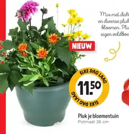 Jumbo Pluk je bloementuin aanbieding