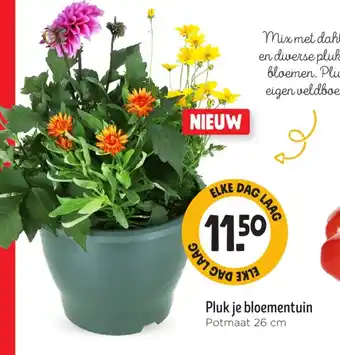 Jumbo Pluk je bloementuin aanbieding