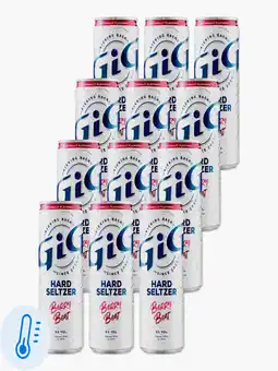 Flink GiG Hard Seltzer Berry Beat 33cl 12x aanbieding