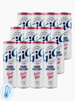 Flink GiG Hard Seltzer Berry Beat 33cl 12x aanbieding