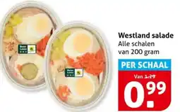 Hoogvliet Westland salade aanbieding
