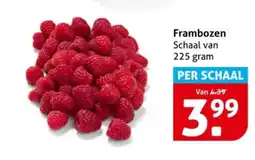 Hoogvliet Frambozen aanbieding