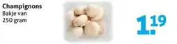 Hoogvliet Champignons aanbieding