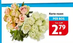 Hoogvliet Korte rozen aanbieding