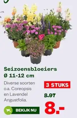Welkoop Seizoensbloeiers 011-12 cm aanbieding