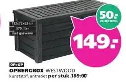 Ranzijn OPBERGBOX WESTWOOD aanbieding