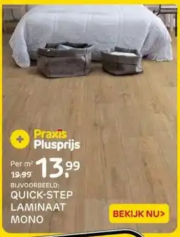 Praxis QUICK-STEP LAMINAAT MONO aanbieding