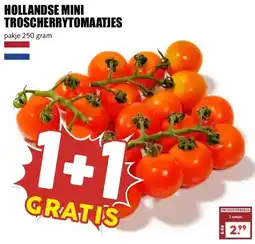 MCD Supermarkt HOLLANDSE MINI TROSCHERRYTOMAATJES aanbieding